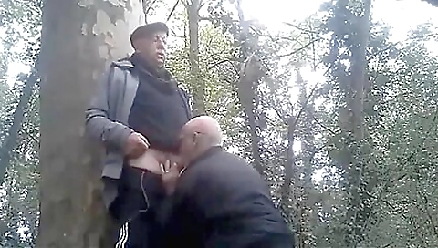 Mas lawyernog subject / a pussy and boaer