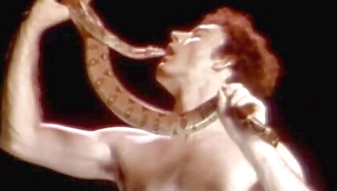 Sexy brunette hair with sex toy